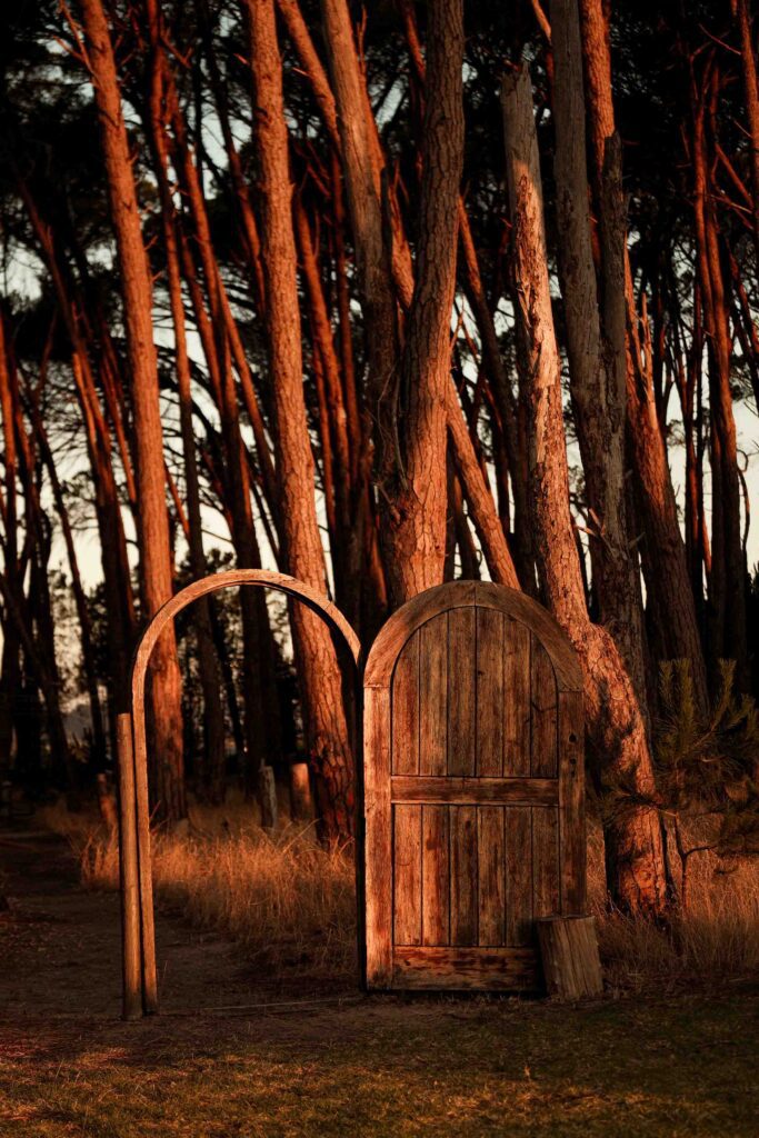 Natuur in Stellenbosch tijdens bruiloft
